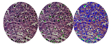 彩譜臺(tái)式分光測色儀CS-820N